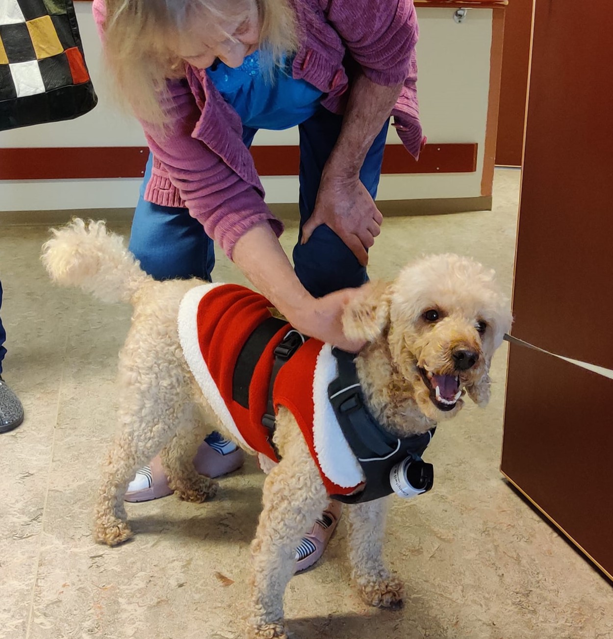 Trykk her for å se aktiviteten