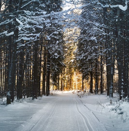 Trykk her for å se aktiviteten