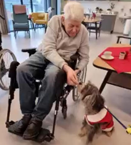 Trykk her for å se aktiviteten