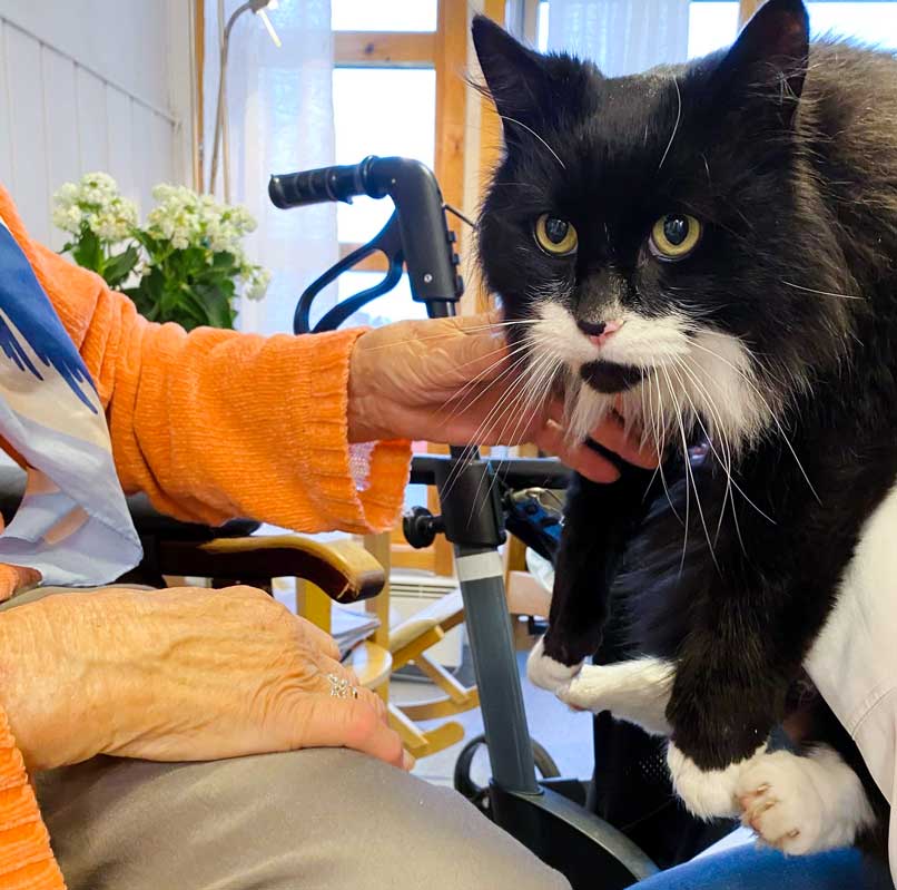 Trykk her for å se aktiviteten