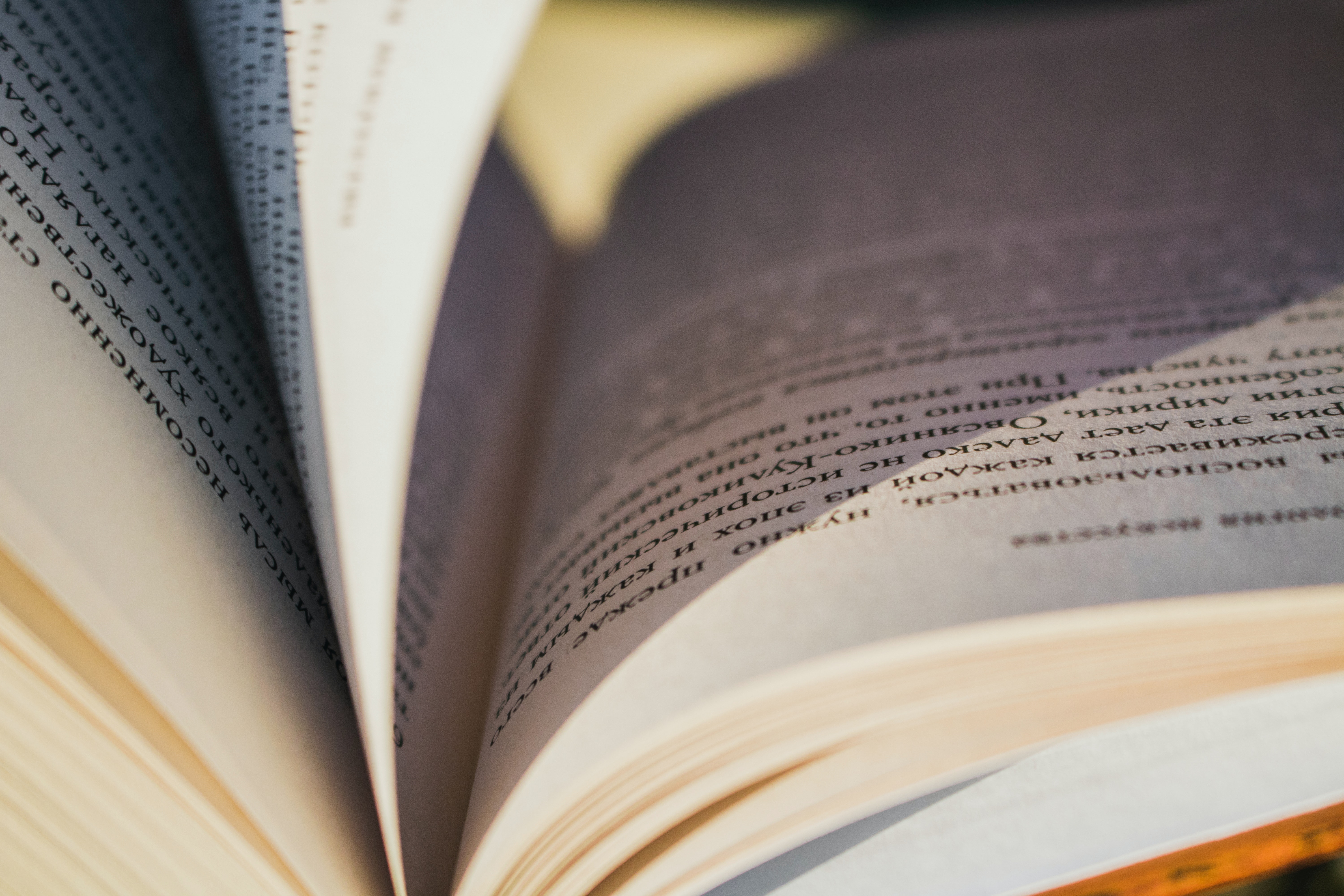 Trykk her for å se aktiviteten