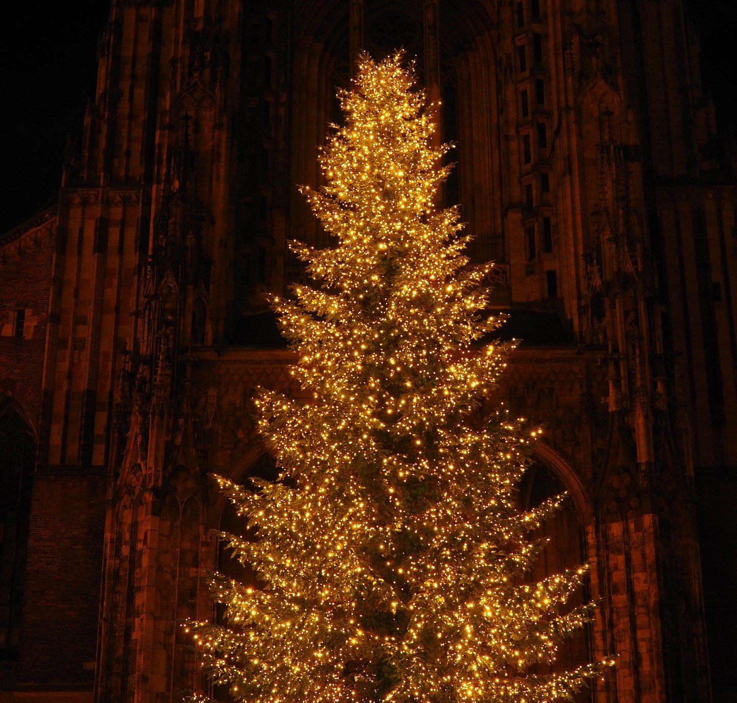 Trykk her for å se aktiviteten