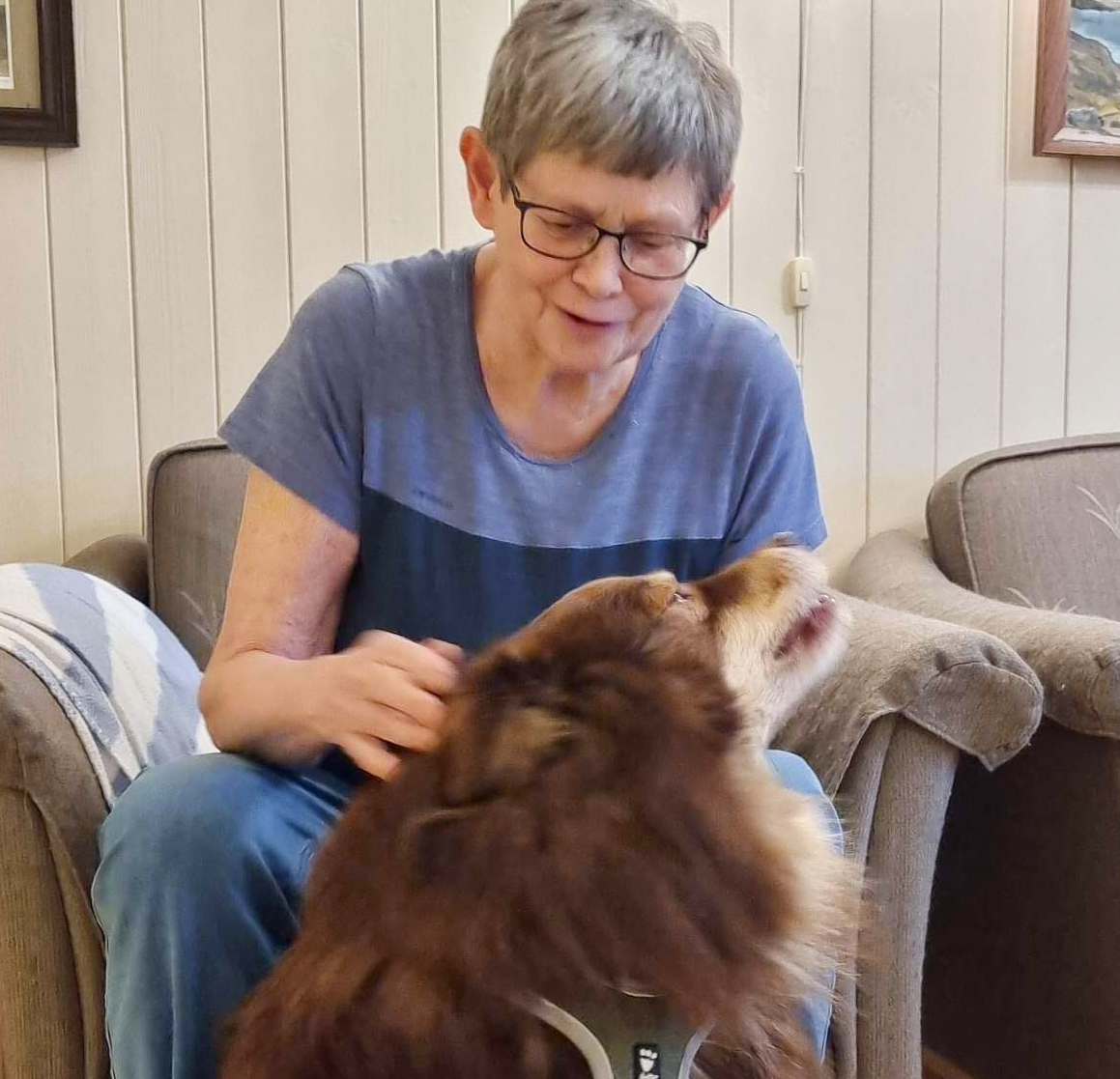 Trykk her for å se aktiviteten