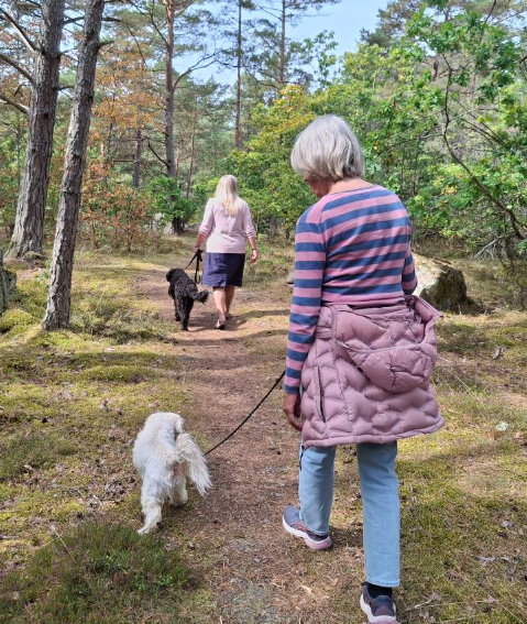 Klicka här för att se aktiviteten