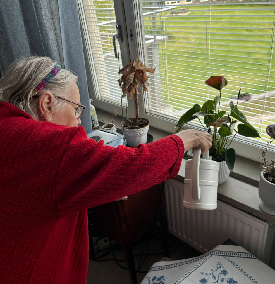 Klicka här för att se aktiviteten