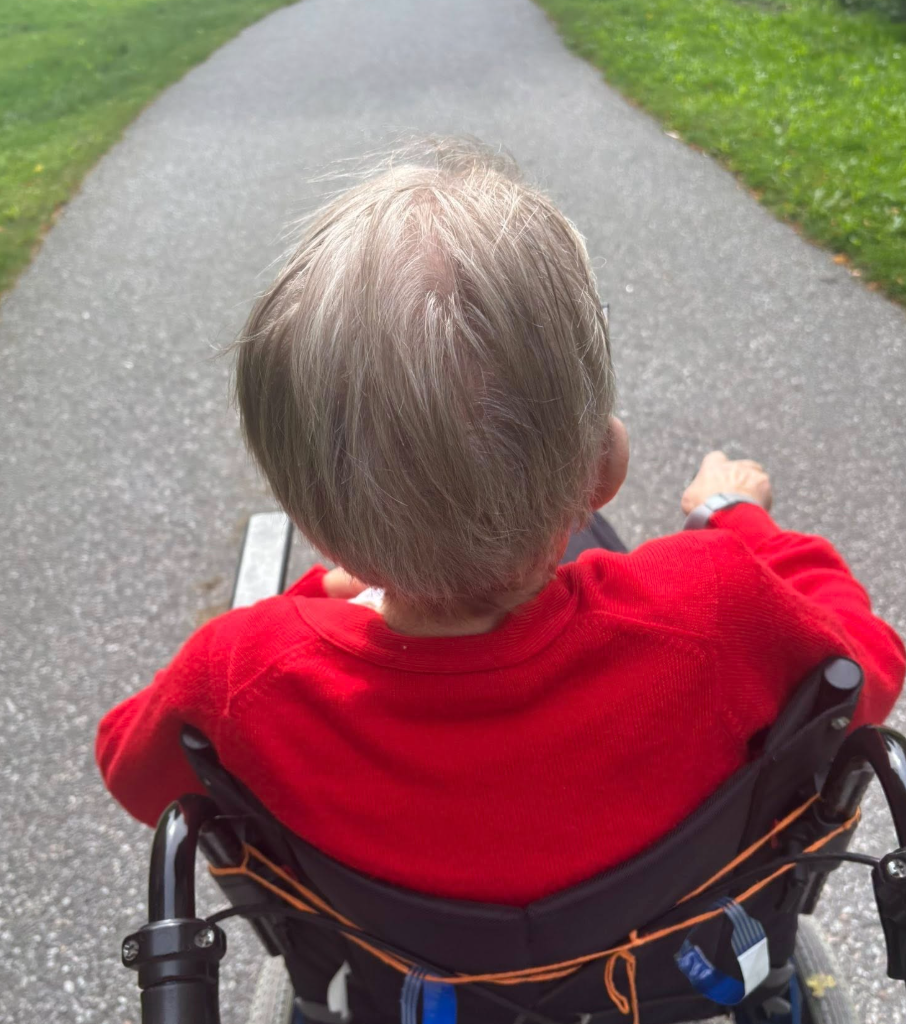 Klicka här för att se aktiviteten