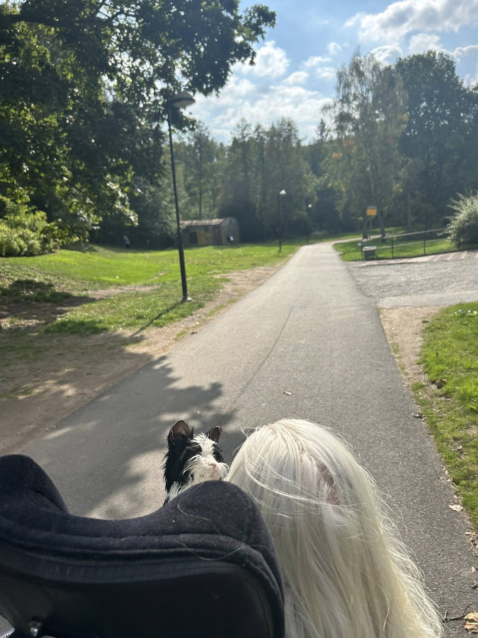 Klicka här för att se aktiviteten