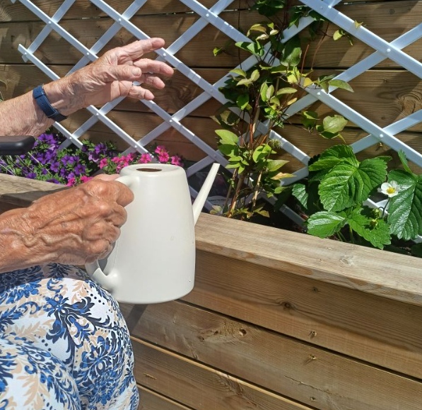 Klicka här för att se aktiviteten