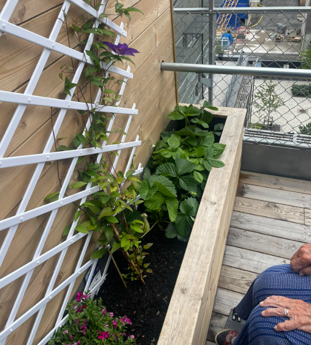 Klicka här för att se aktiviteten