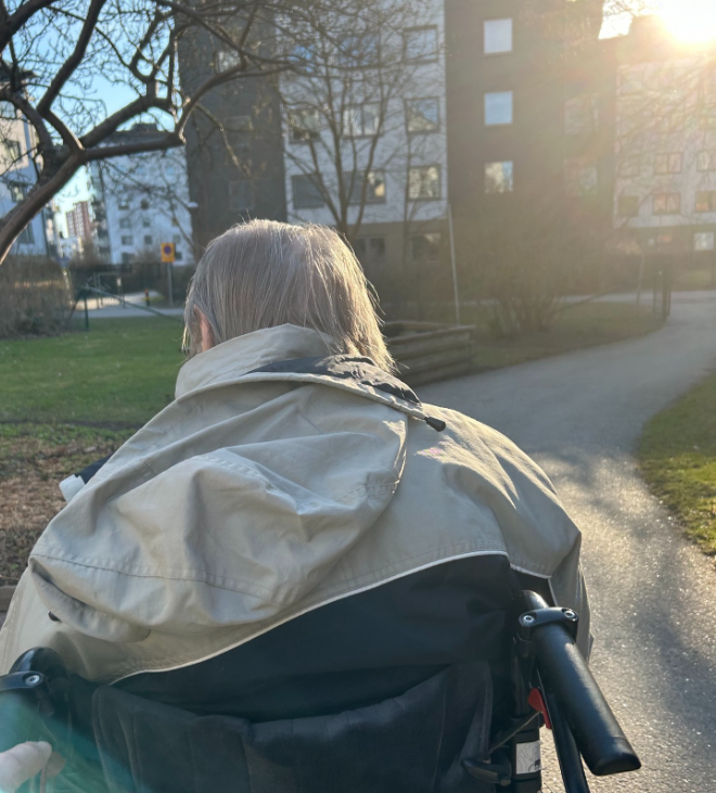 Klicka här för att se aktiviteten