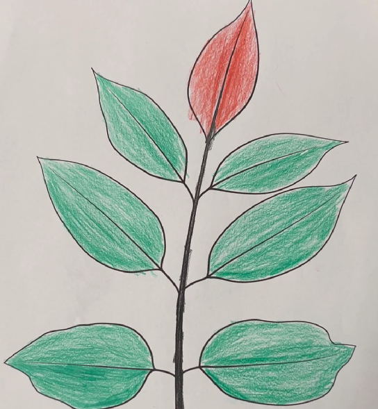 Klicka här för att se aktiviteten