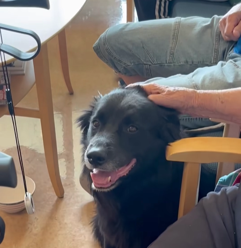 Trykk her for å se aktiviteten