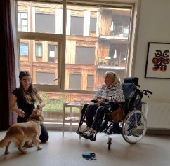 Trykk her for å se aktiviteten