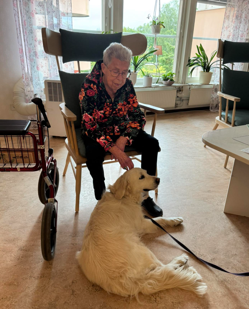 Klicka här för att se aktiviteten