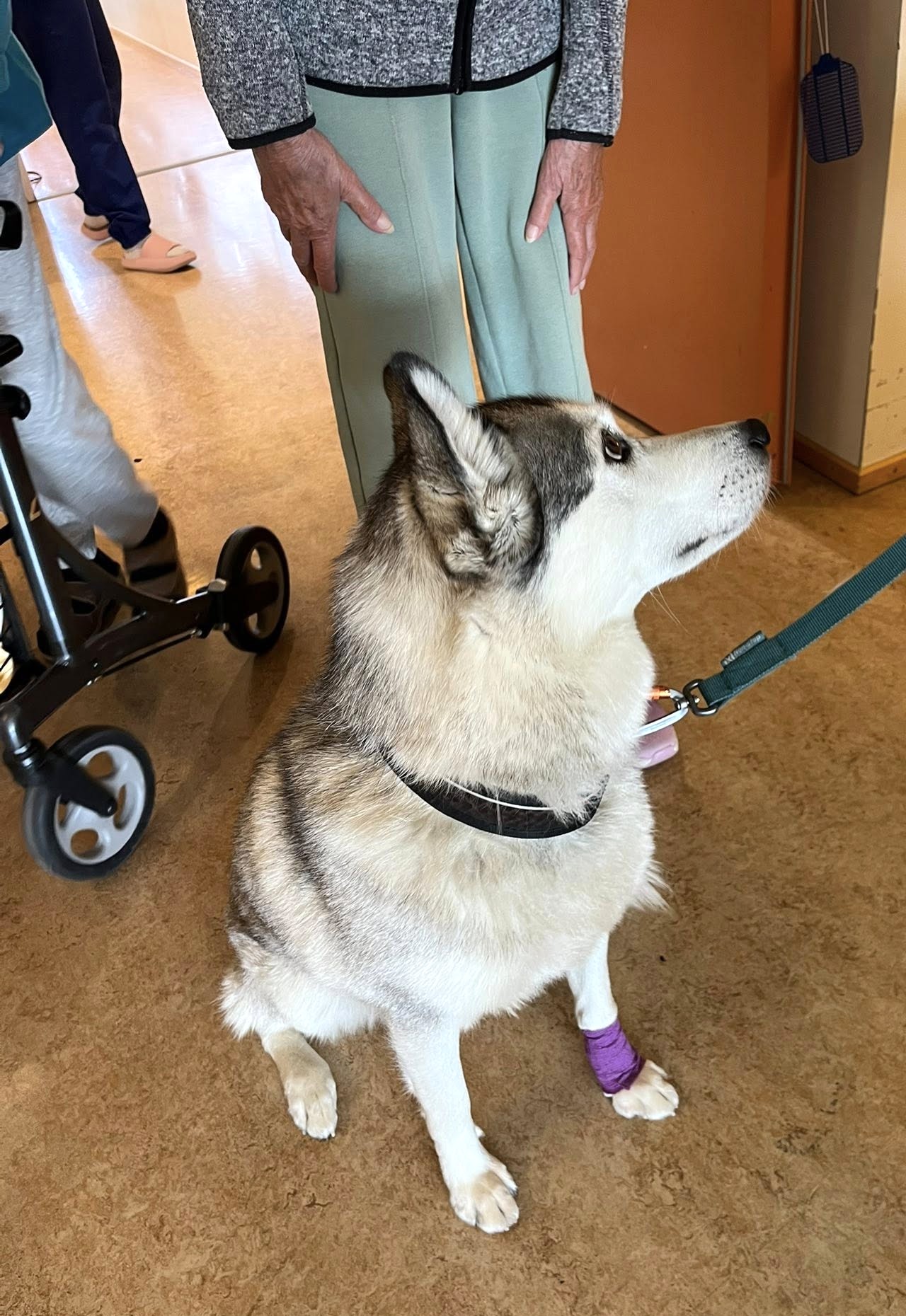 Trykk her for å se aktiviteten