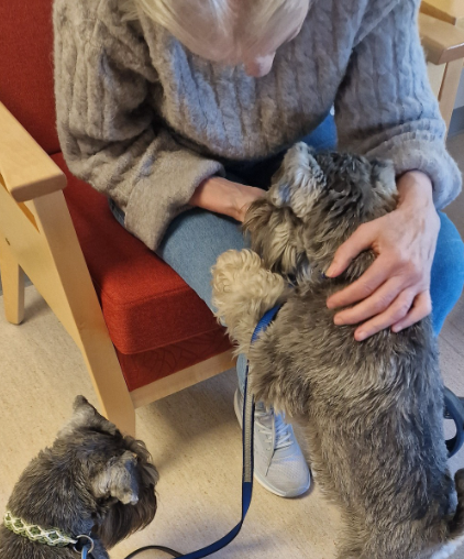 Trykk her for å se aktiviteten