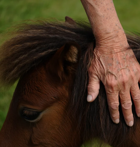 Trykk her for å se aktiviteten