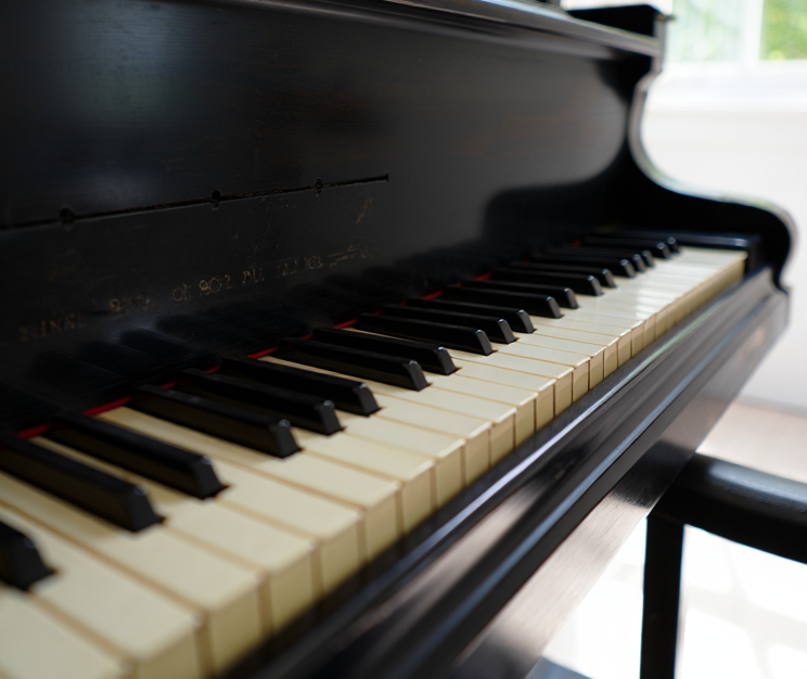 Trykk her for å se aktiviteten