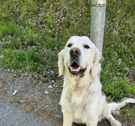 Klicka här för att se aktiviteten