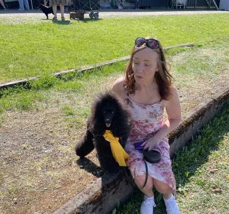 Klicka här för att se aktiviteten