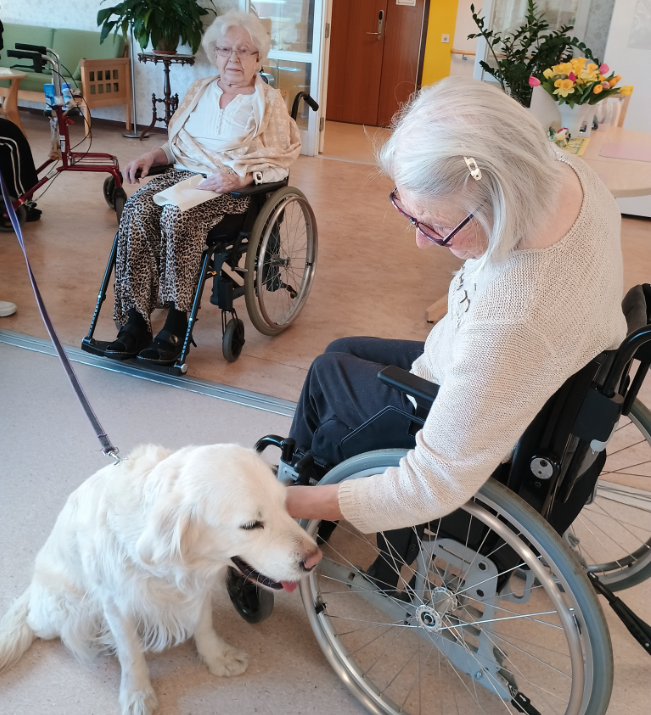 Klicka här för att se aktiviteten