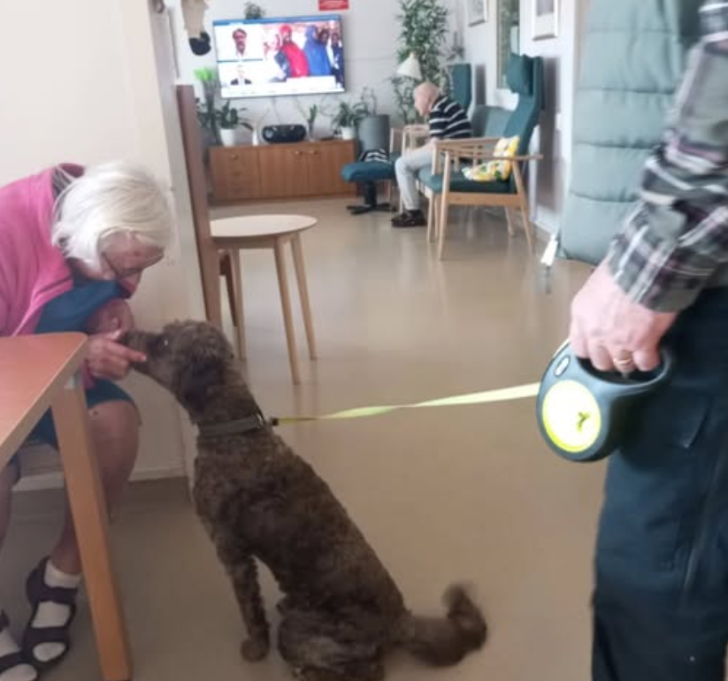 Klicka här för att se aktiviteten