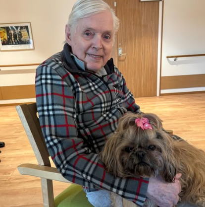 Klicka här för att se aktiviteten