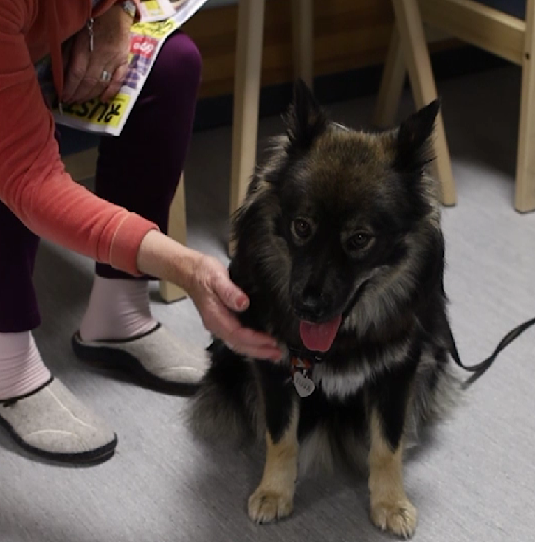 Trykk her for å se aktiviteten