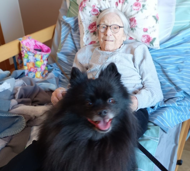 Klicka här för att se aktiviteten