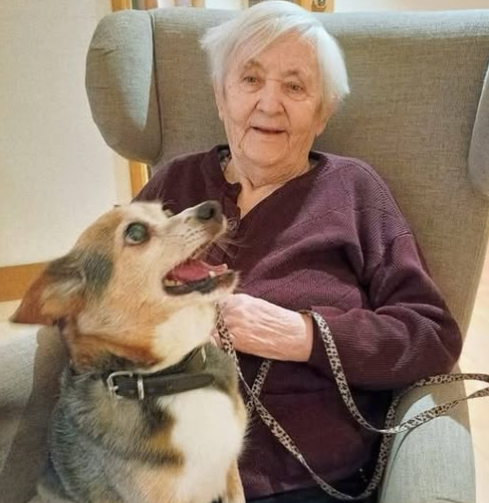 Klicka här för att se aktiviteten