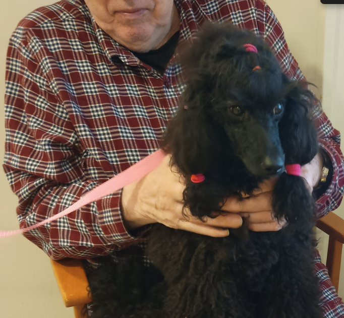 Klicka här för att se aktiviteten