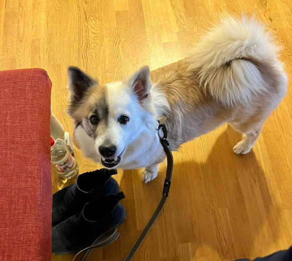 Klicka här för att se aktiviteten