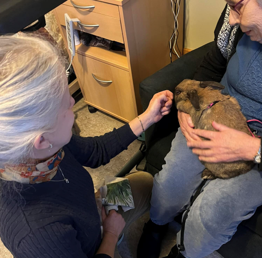 Trykk her for å se aktiviteten