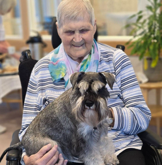 Trykk her for å se aktiviteten