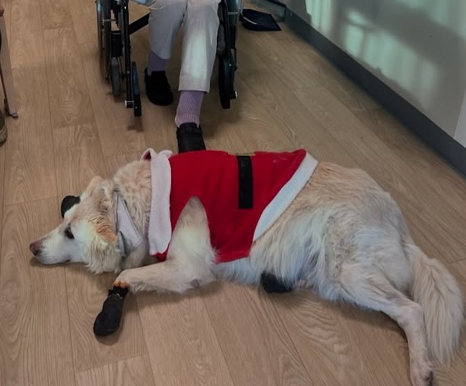 Klicka här för att se aktiviteten