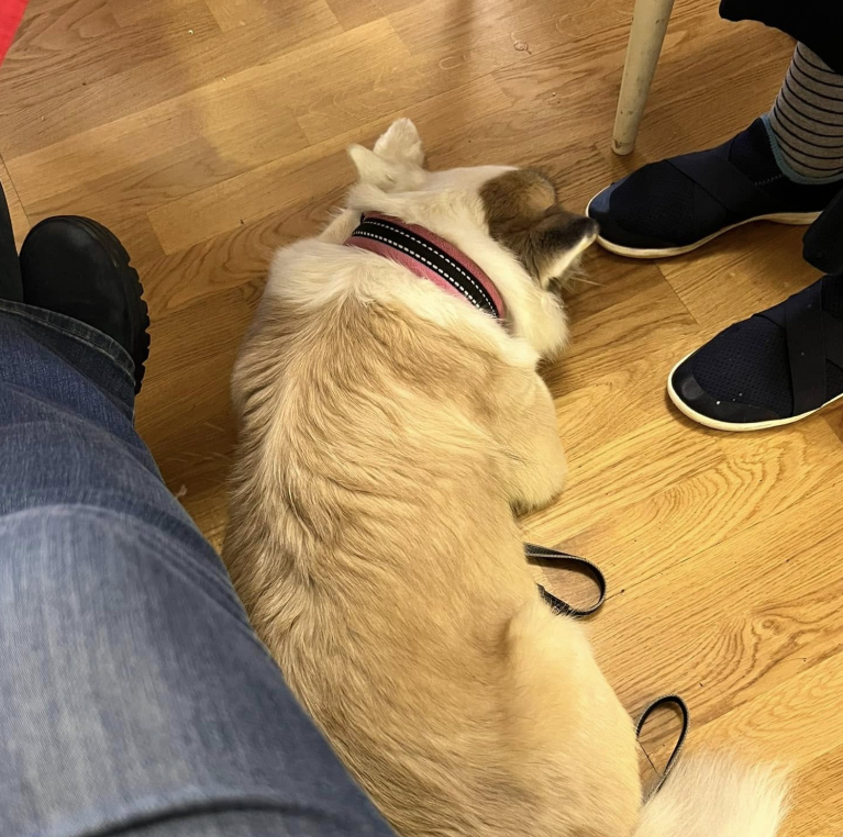 Klicka här för att se aktiviteten