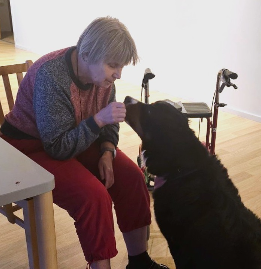 Klicka här för att se aktiviteten