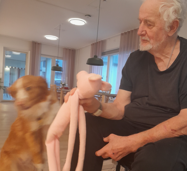 Klicka här för att se aktiviteten