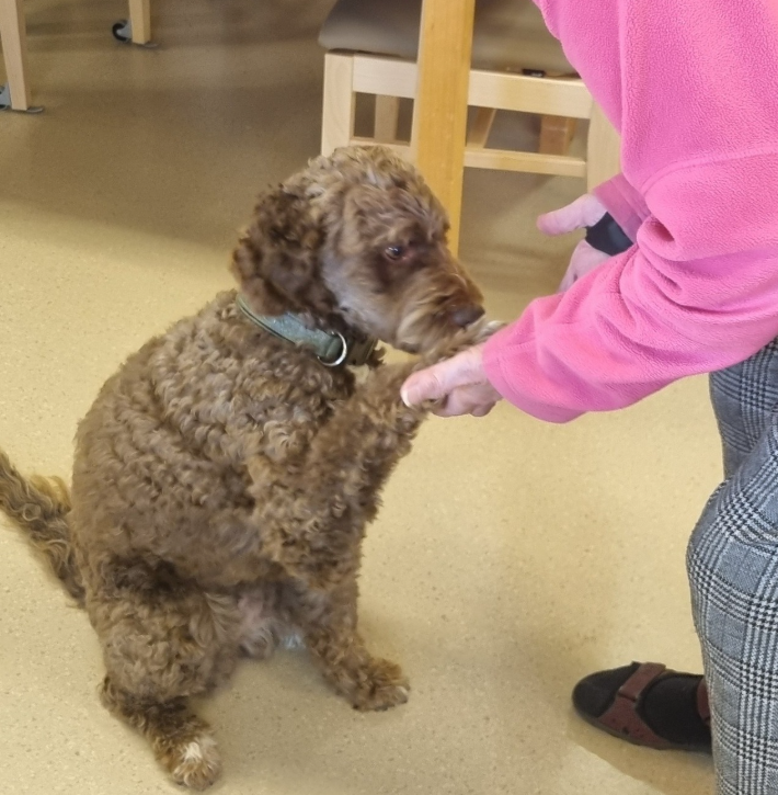 Klicka här för att se aktiviteten