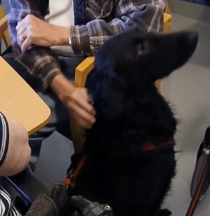 Klicka här för att se aktiviteten