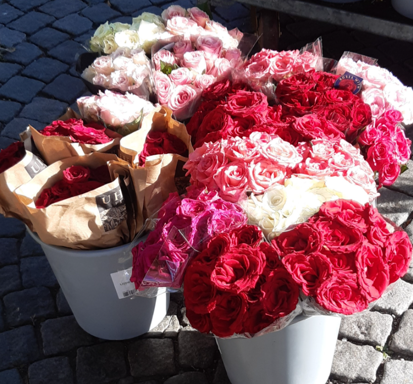 Klicka här för att se aktiviteten