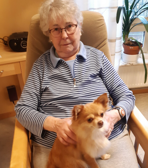 Klicka här för att se aktiviteten