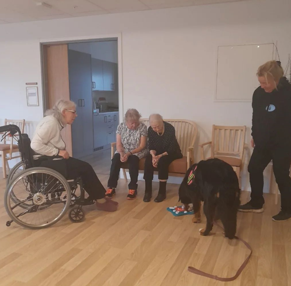 Klicka här för att se aktiviteten