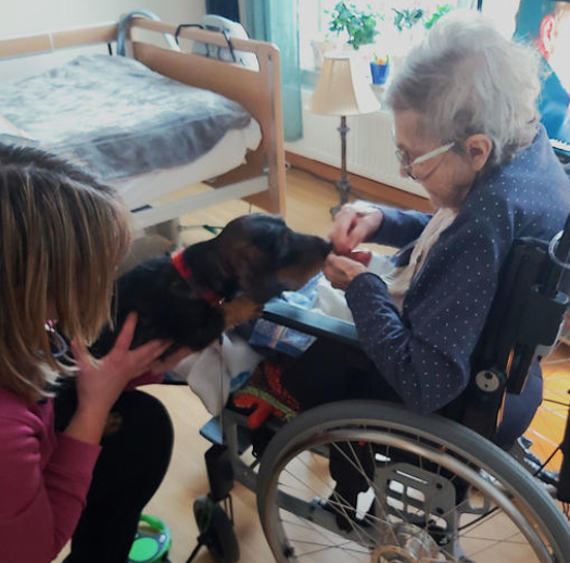 Klicka här för att se aktiviteten