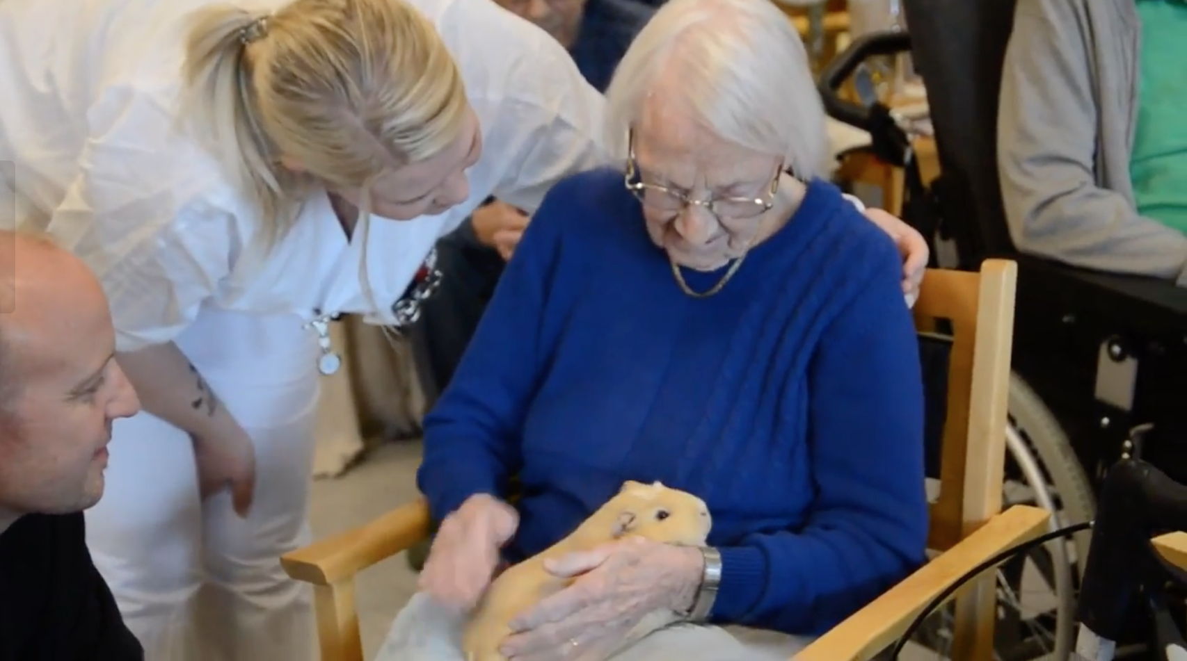 Trykk her for å se aktiviteten