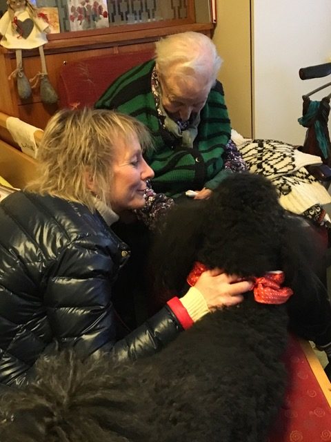 Trykk her for å se aktiviteten