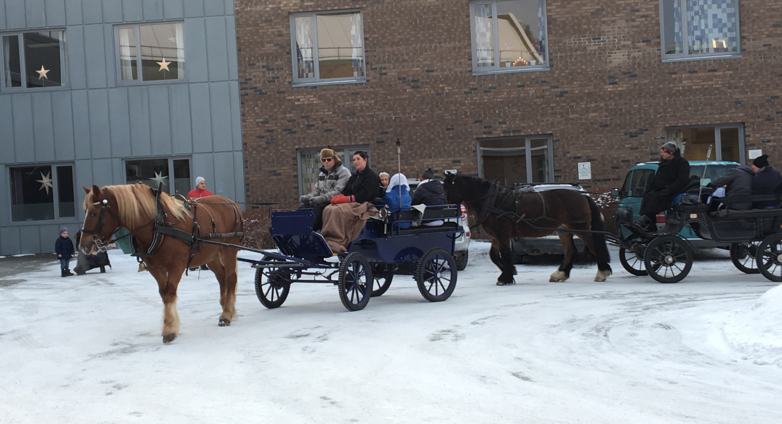 Trykk her for å se aktiviteten