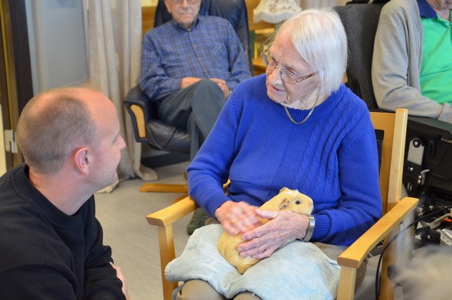 Trykk her for å se aktiviteten