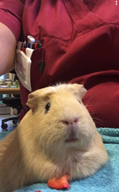 Trykk her for å se aktiviteten