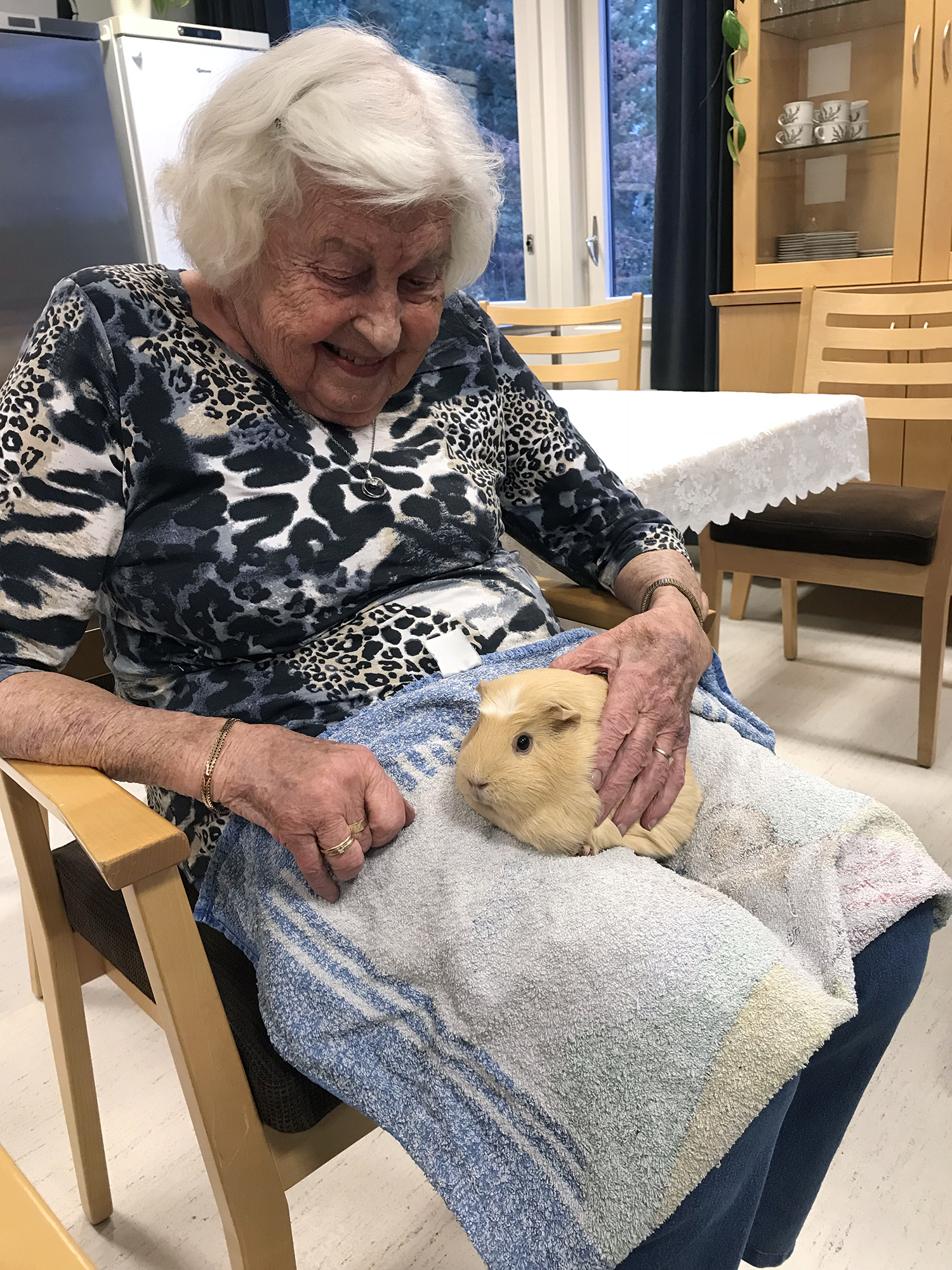 Trykk her for å se aktiviteten